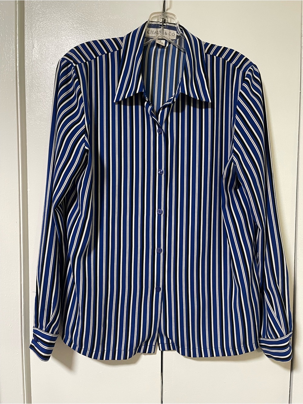 Chaus & Co. Blue and White Vertical Stripe Button-Down Shirt